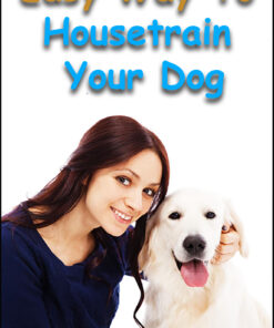 Easy Way To Housetrain Your Dog