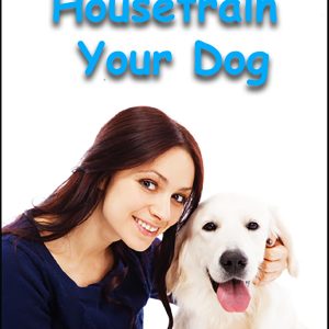 Easy Way To Housetrain Your Dog