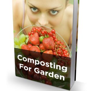 Composting For Garden