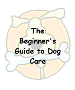 The Beginner's Guide to Dog Care