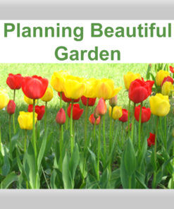 Planning Beautiful Garden