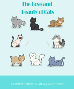 The Love and Beauty of Cats