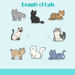 The Love and Beauty of Cats