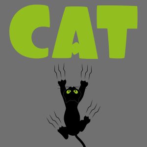 Perfectly Train Your Cat