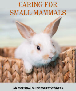 Caring for Small Mammals